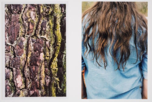 2_bark_hair
