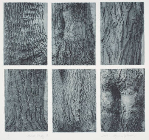 Bark Study 2