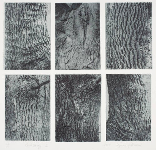Bark Study 3