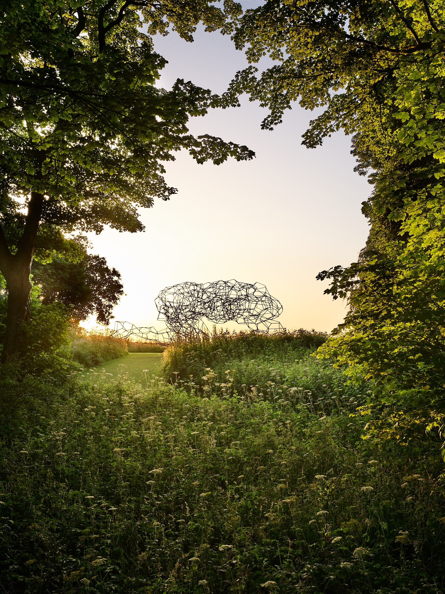 Antony Gormley: Firmament