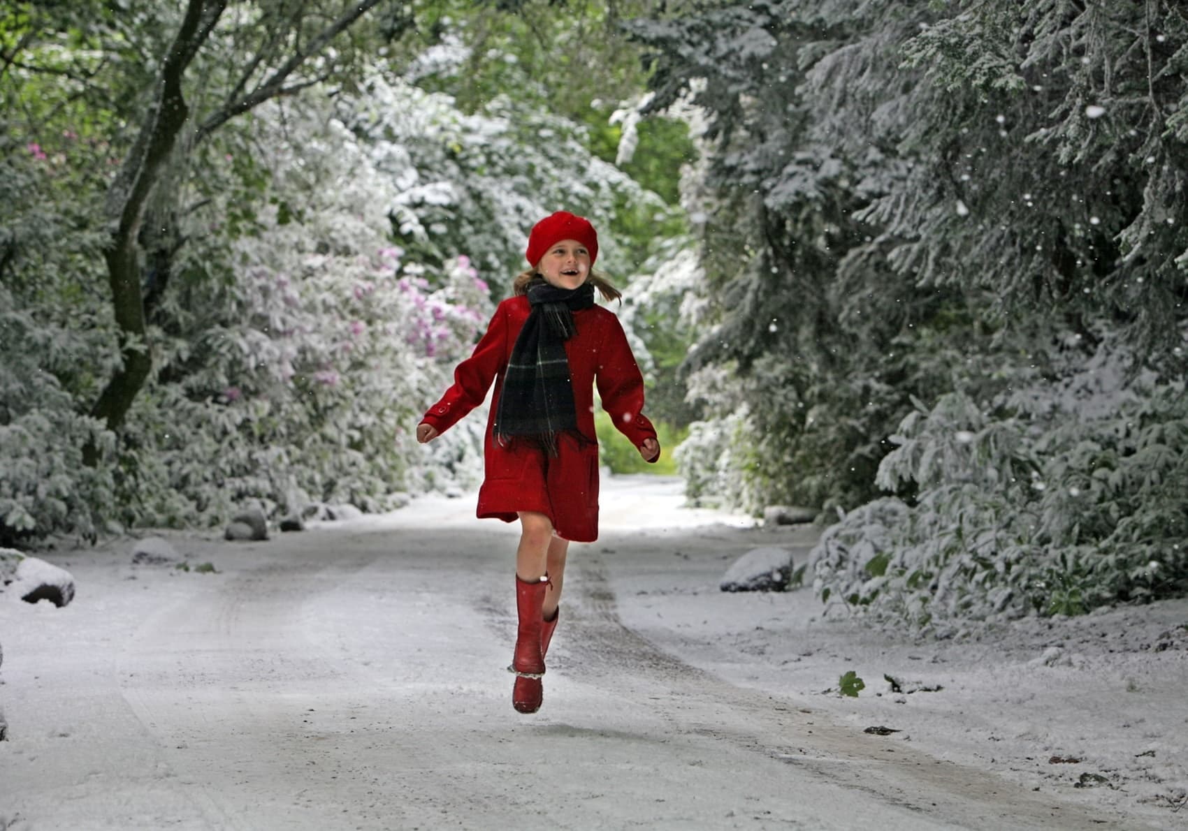 Peter Liversidge: Midsummer Snowstorm