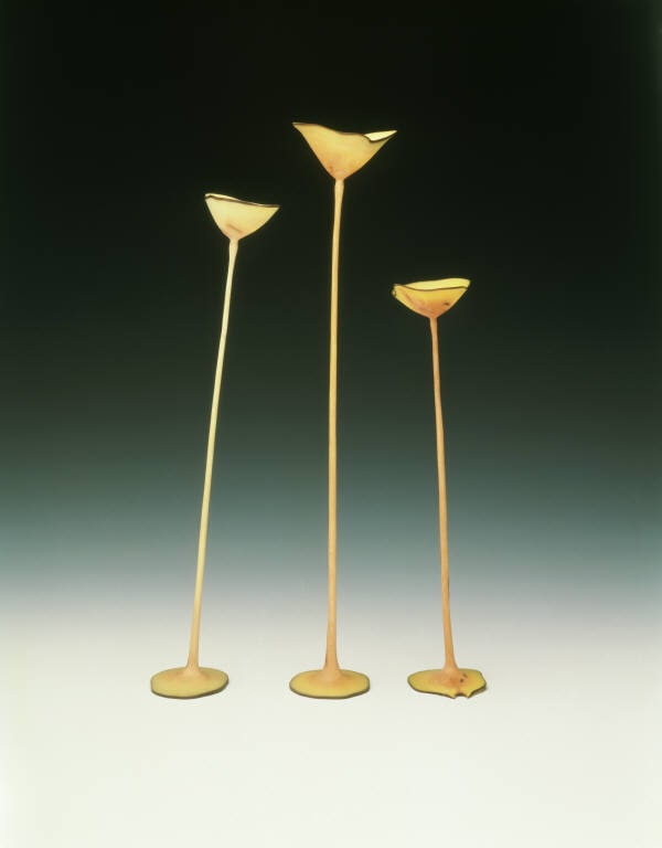 Manzanitas