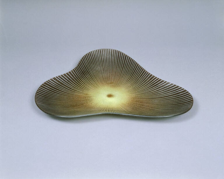Amoeboid Plate