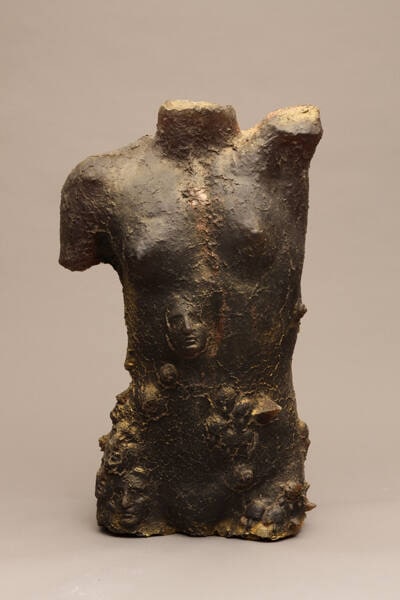 Torso