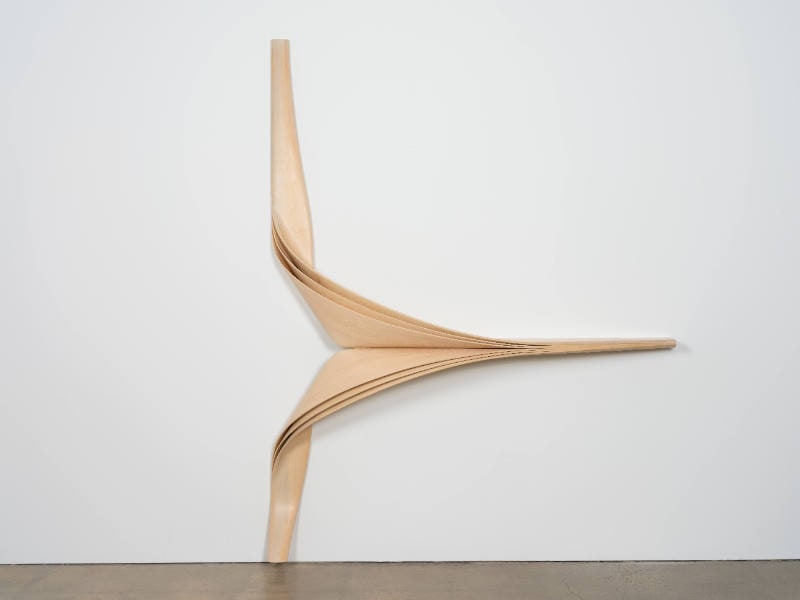 Enignum Shelf