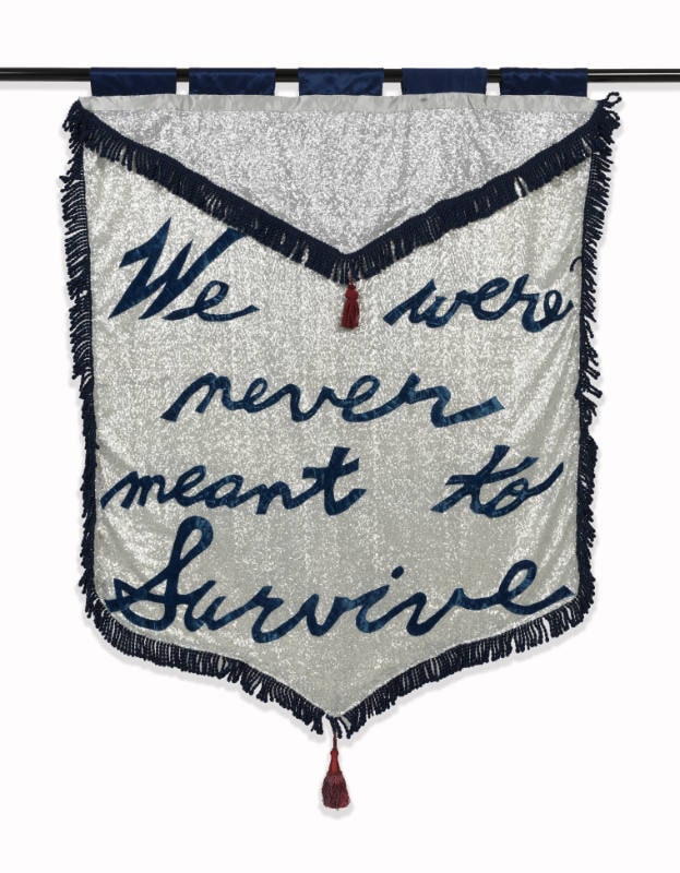 We Were Never Meant to Survive (from the "In the Wake" series)