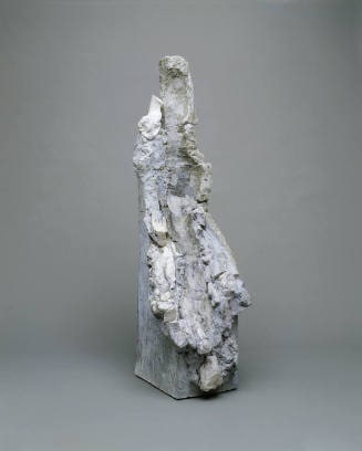 Elephant Head as a Woman