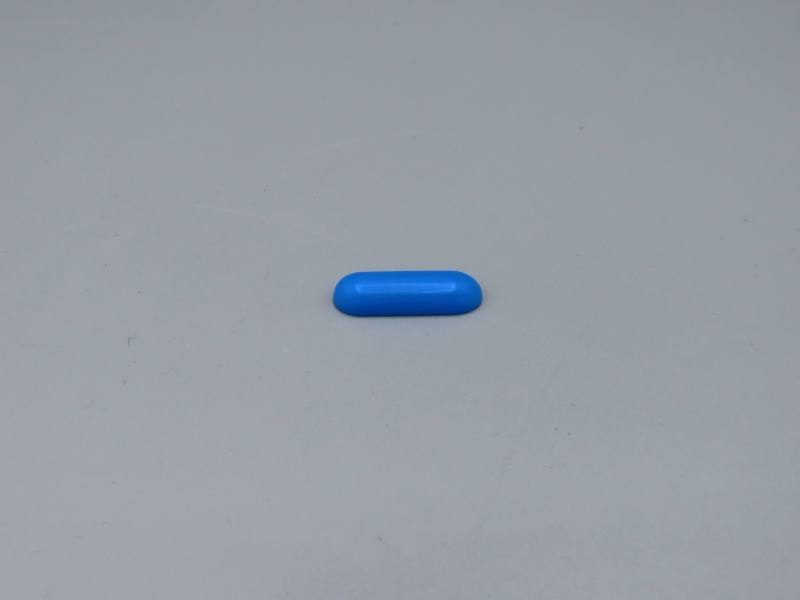 Workshop Fragment