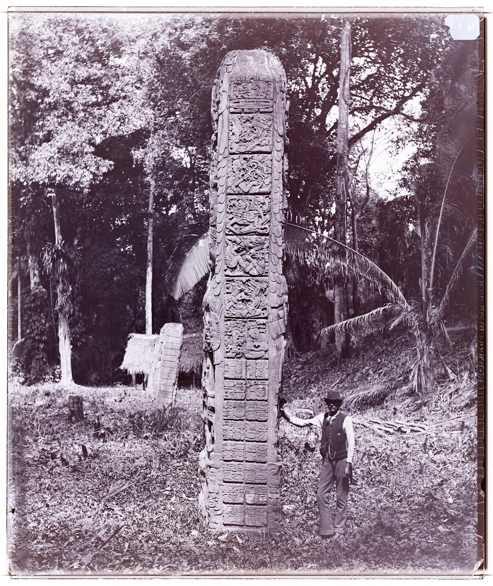 Stela D at Quiriguá