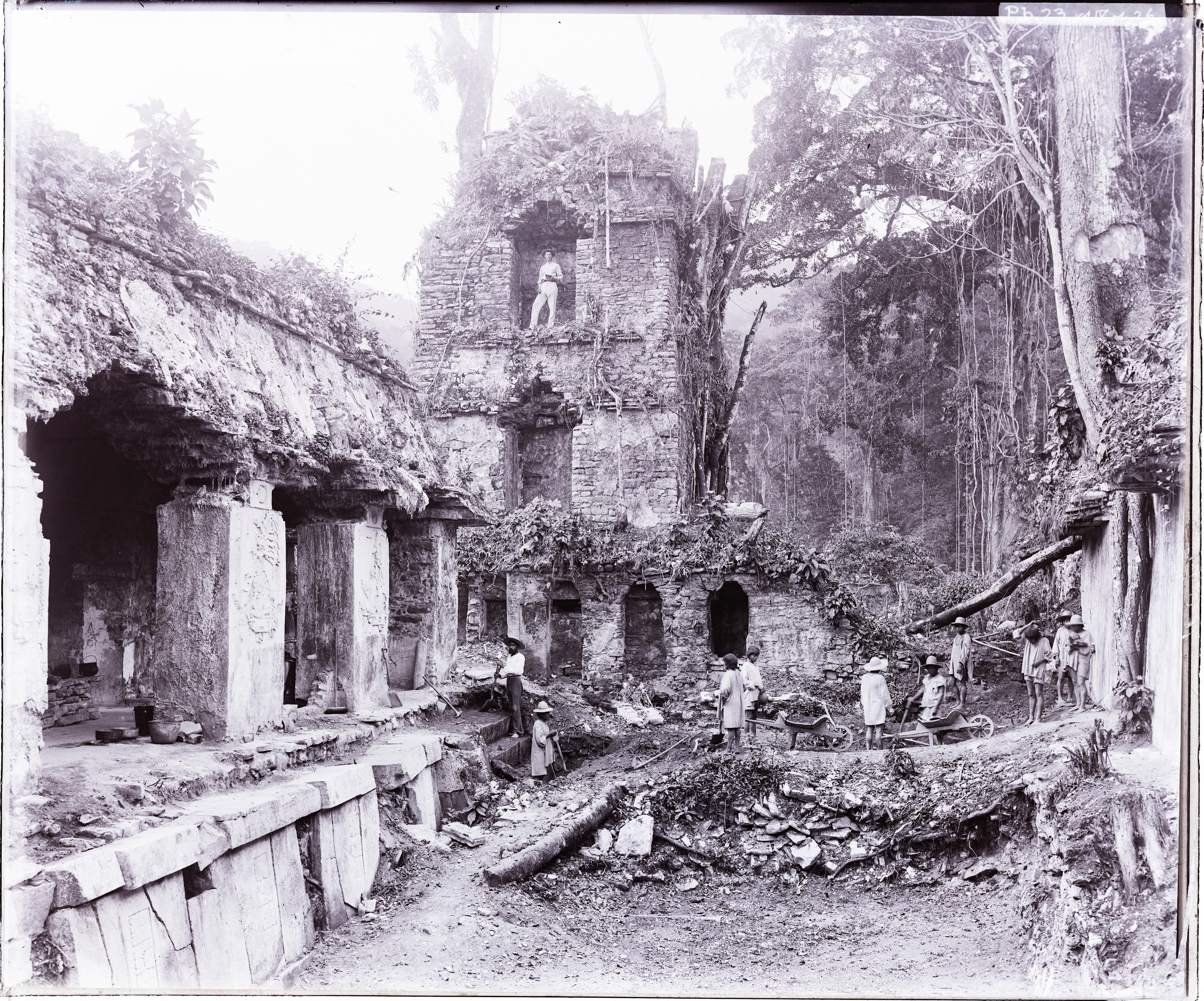 Photograph of Palenque taken by A.P. Maudslay