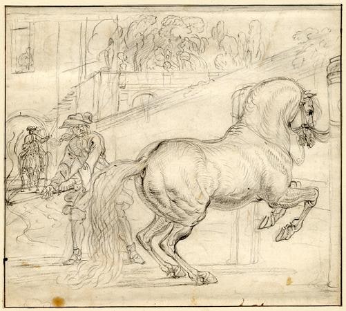 drawing; print study