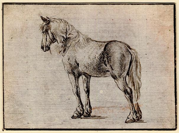 drawing; print study