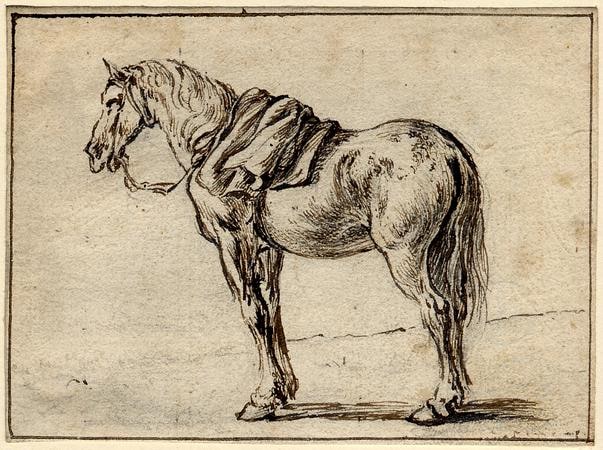 drawing; print study
