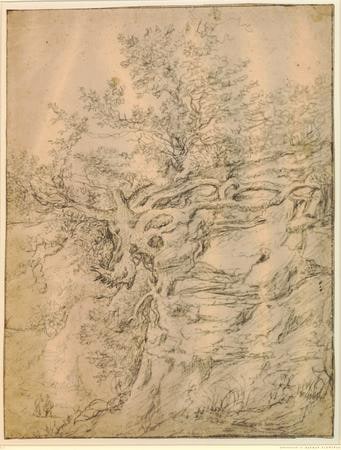 drawing