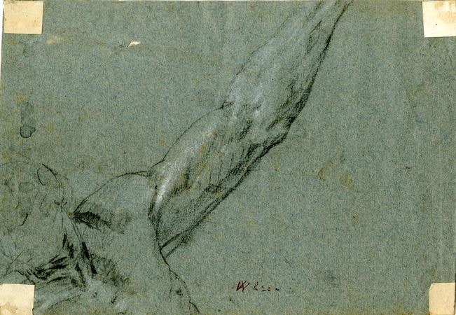 drawing; album