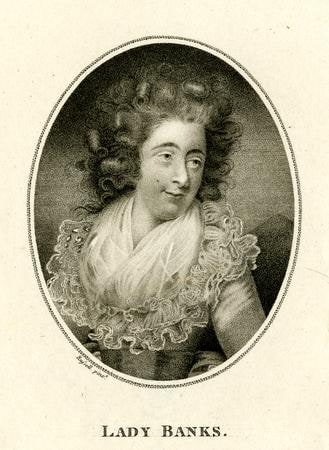Object: Lady Banks