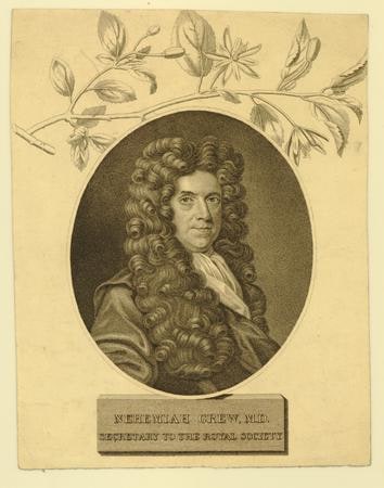 Object: Nehemiah Grew, M.D.