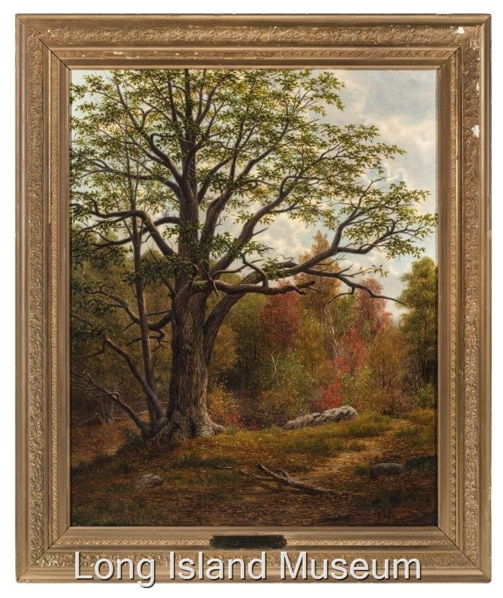 Woodland Scene