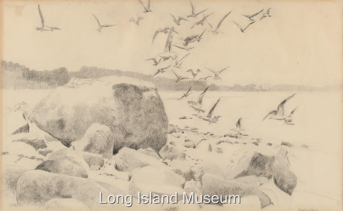 Shore Scene With Large Rock