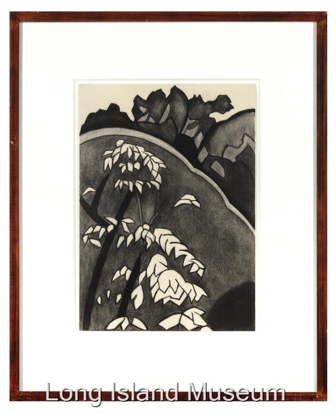 Flower in a Landscape