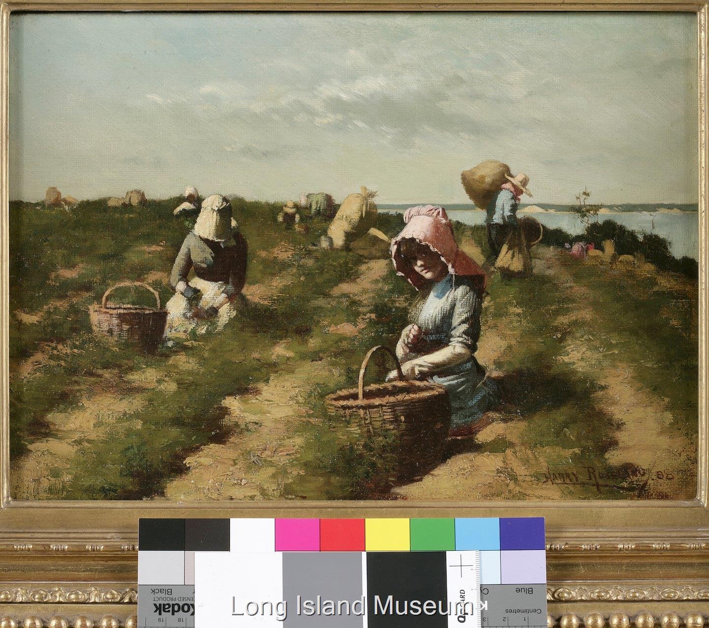 Pea Pickers, Long Island