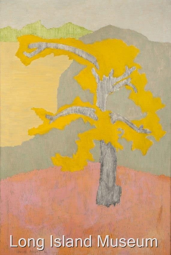 Shad Tree