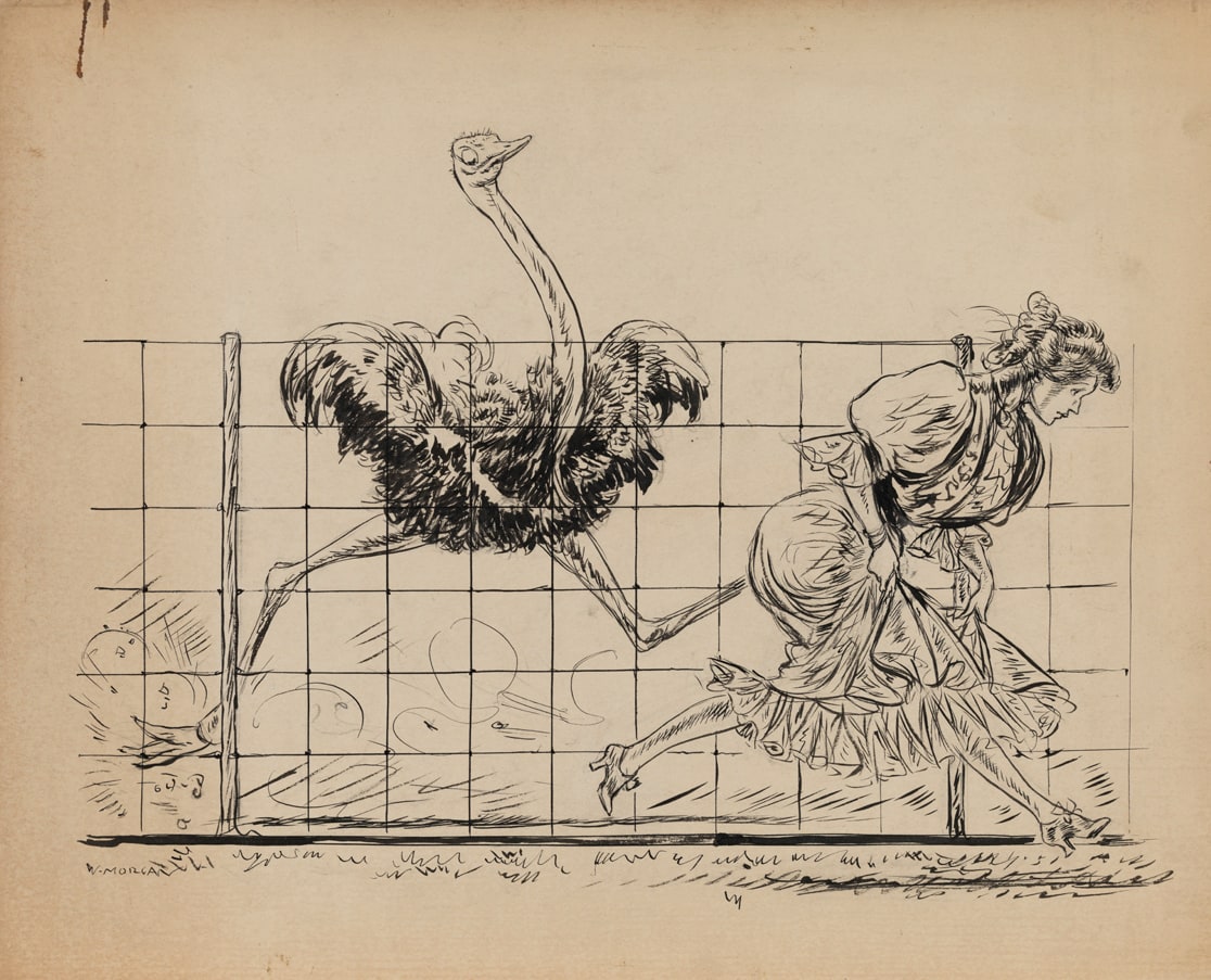 [Woman and ostrich]