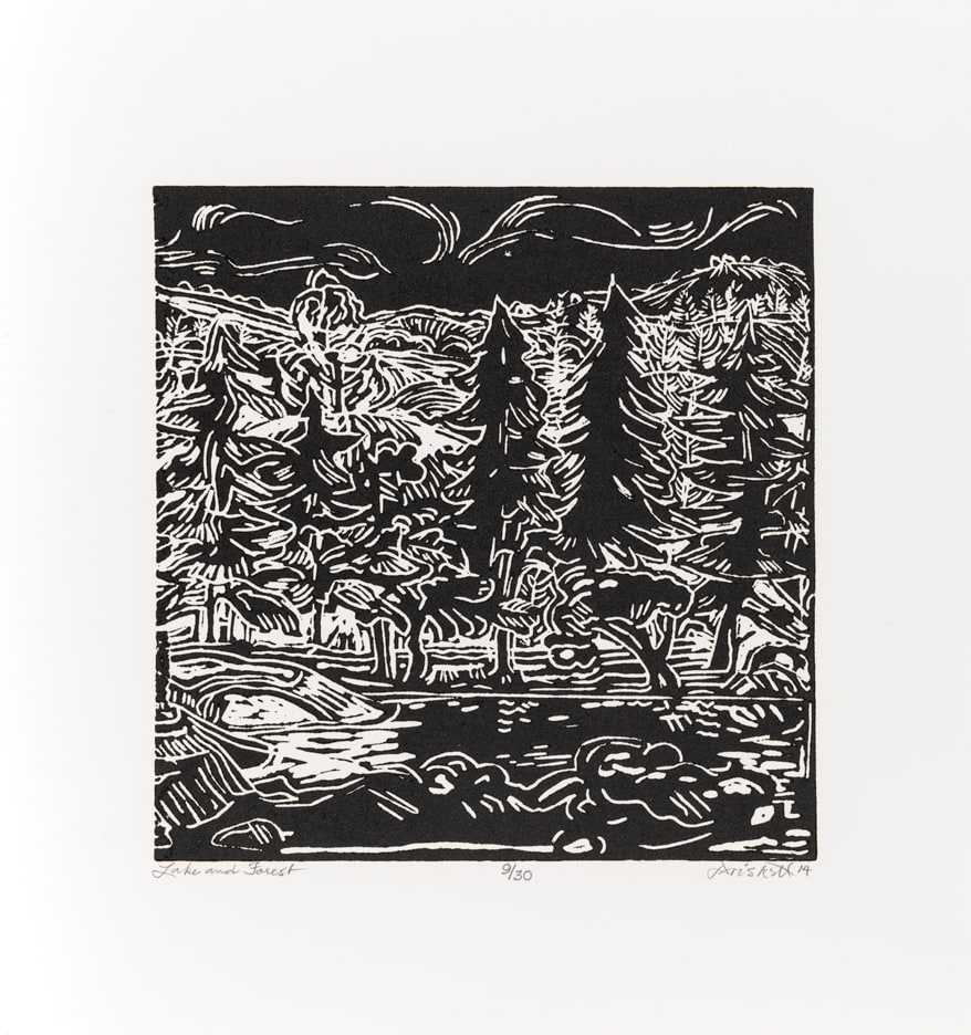 Lake and Forest