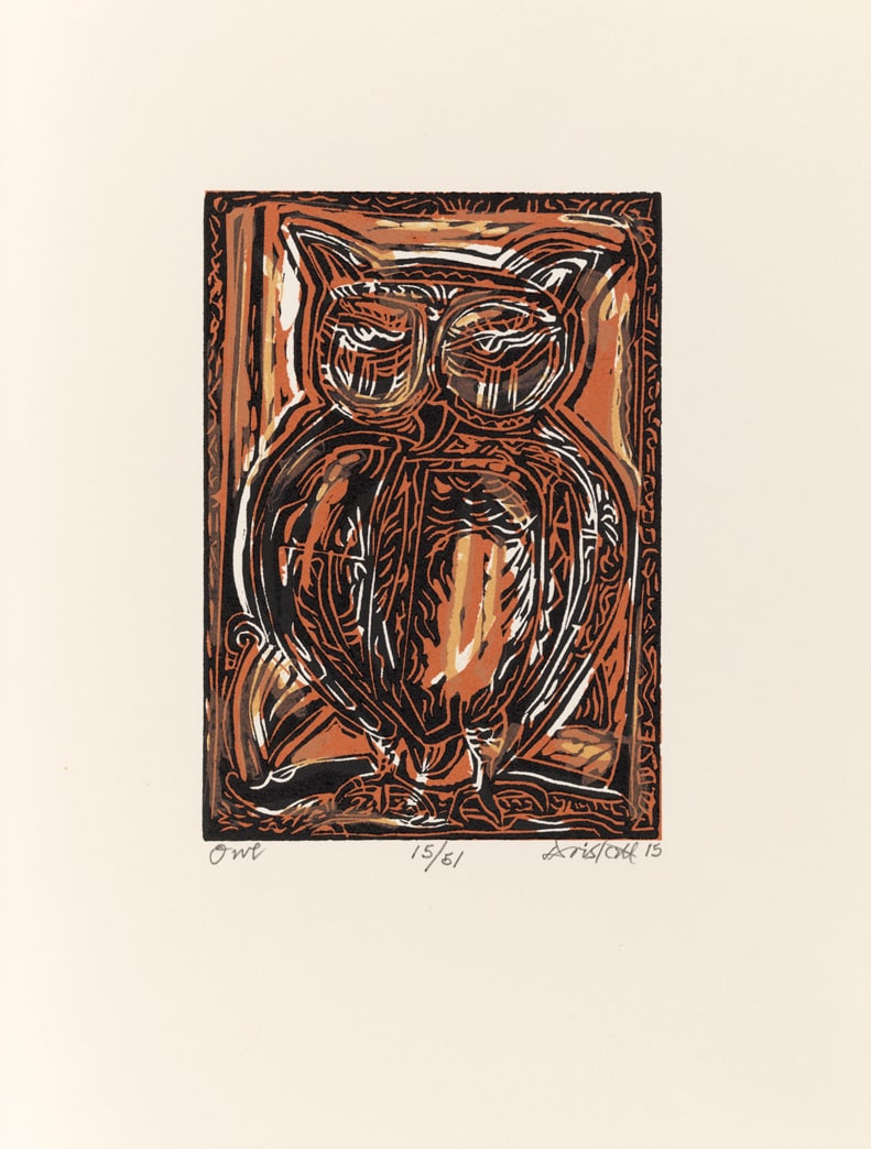 Owl