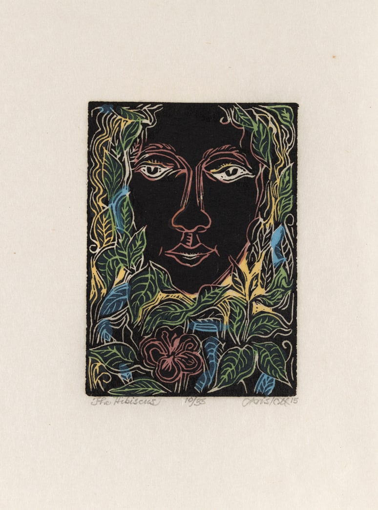 The Hibiscus