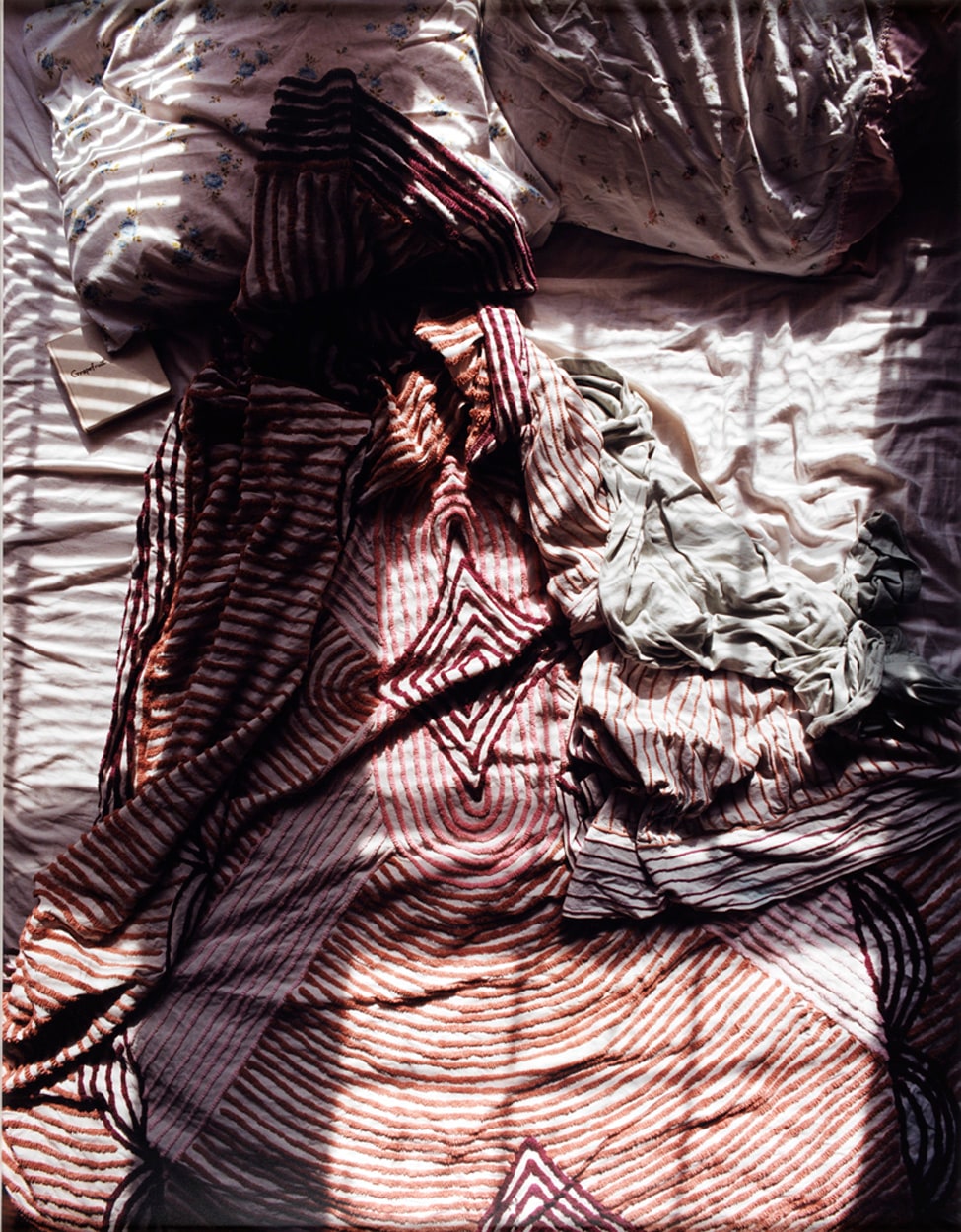 Untitled #1 (Lesbian Beds)