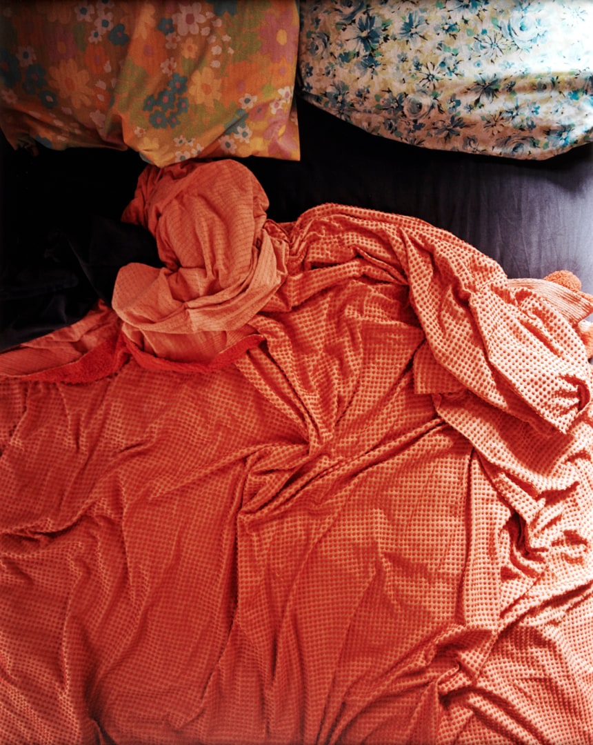 Untitled #5 (Lesbian Beds)