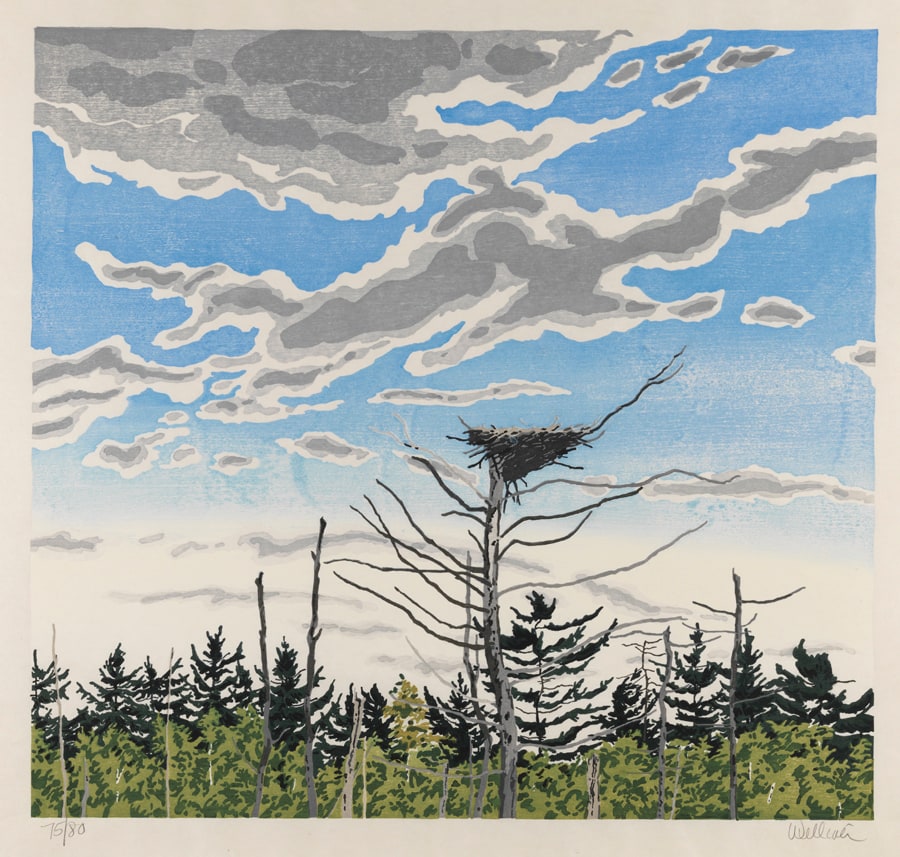 Osprey Nest