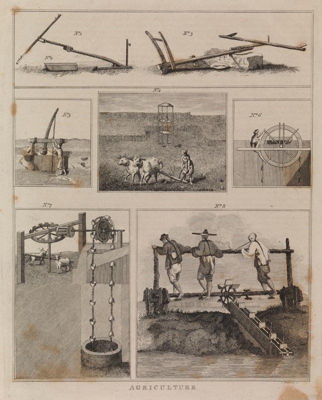 Agriculture
