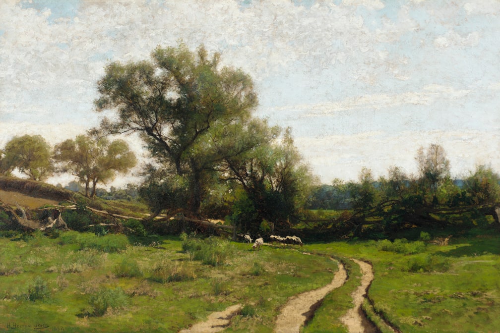 Sheep Pasture
