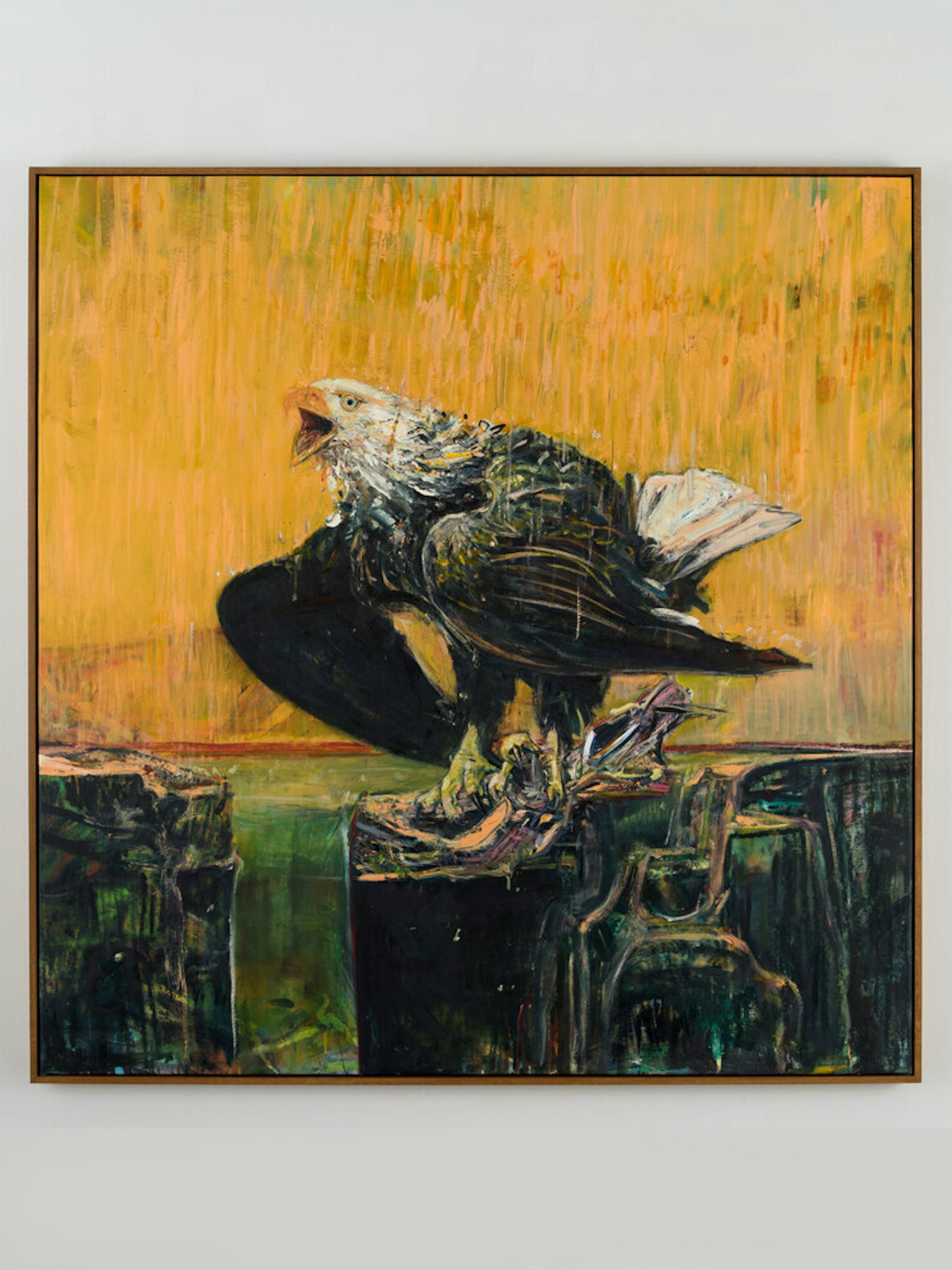 Untitled (Bald Eagle)