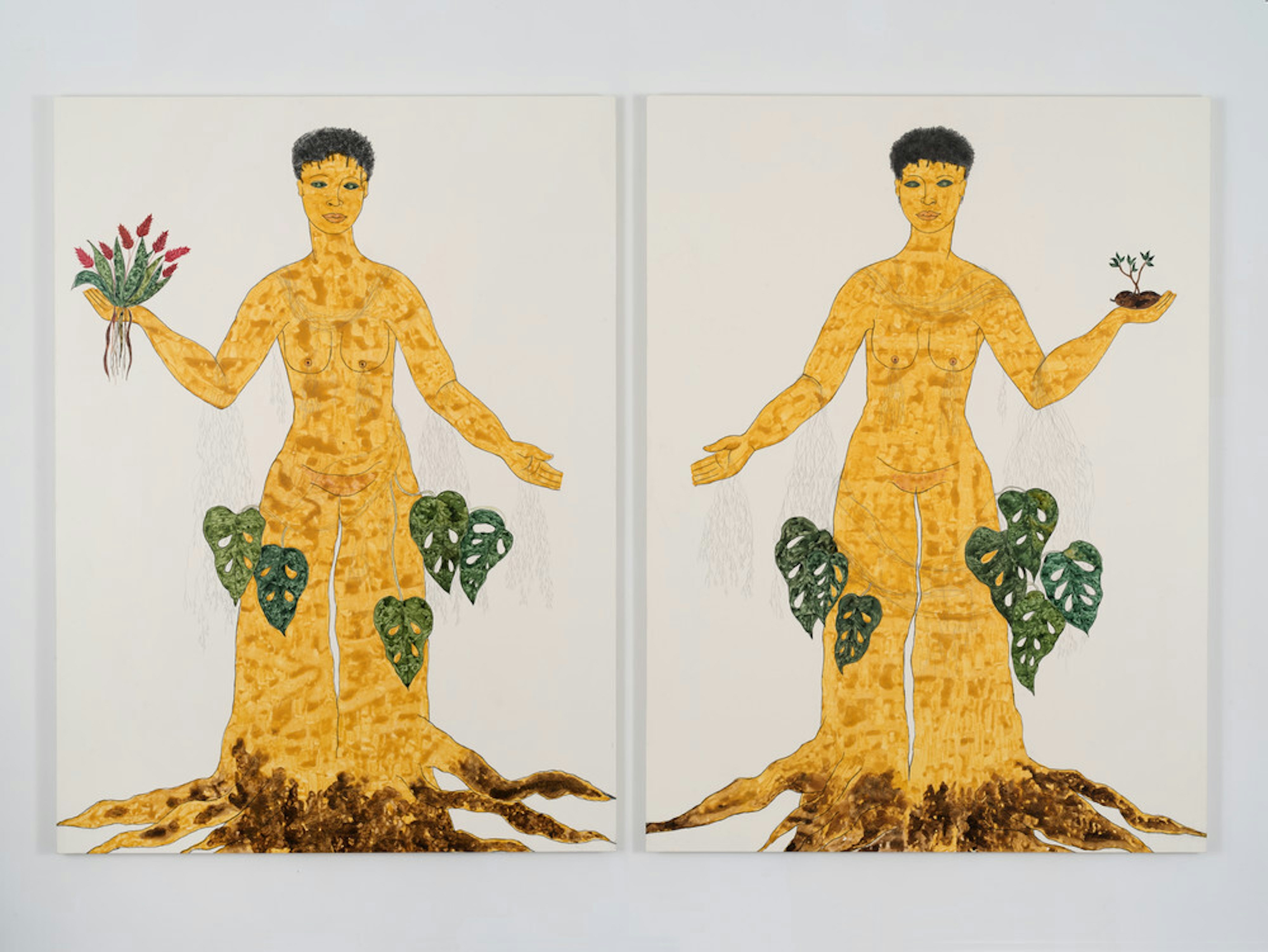 Gêmeas, from the Jatobás series