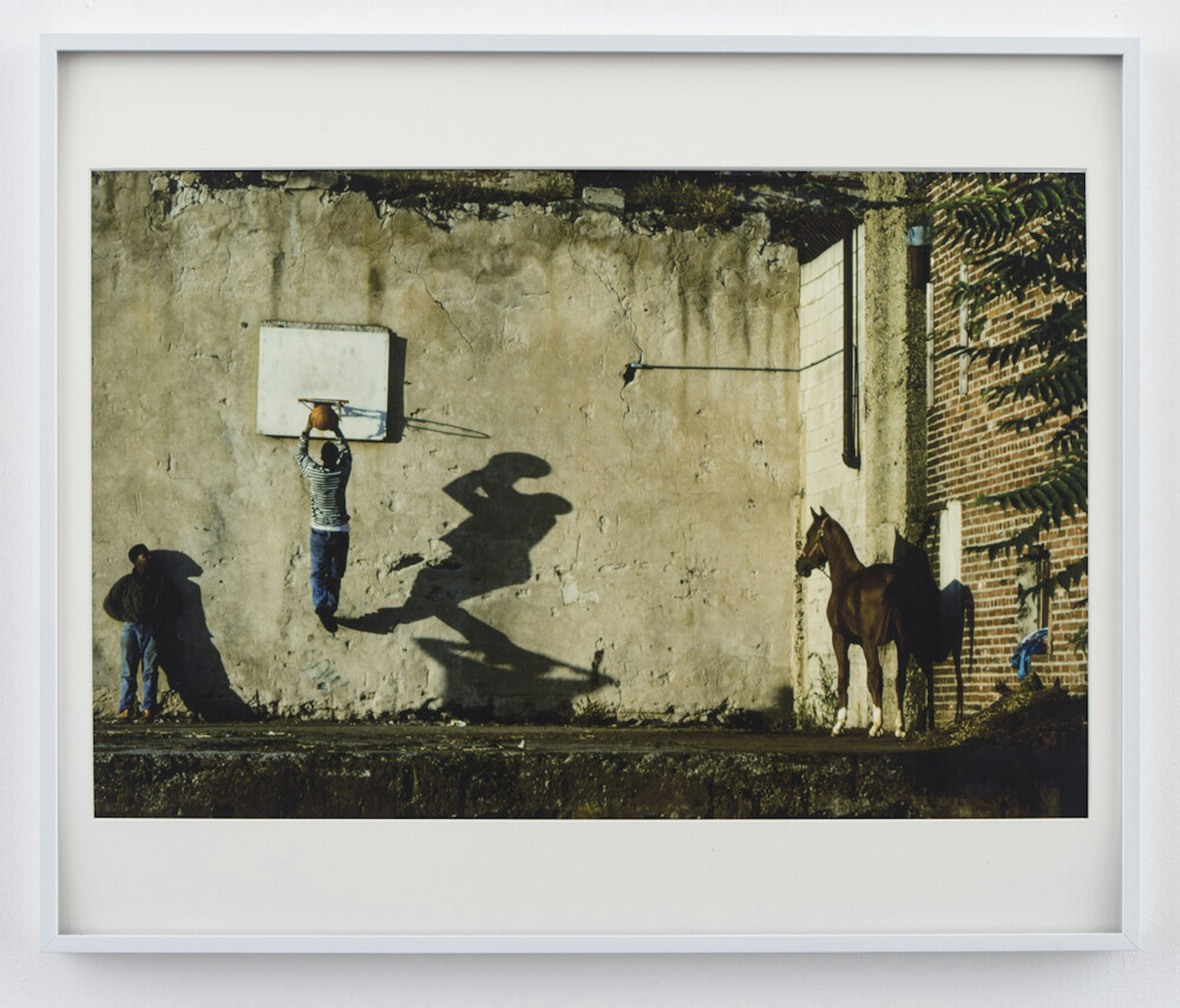 The Basketball Game