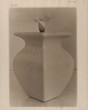 White Vase. White Calla