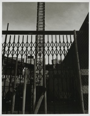 "Coney Island"