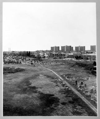 Graves, Queens