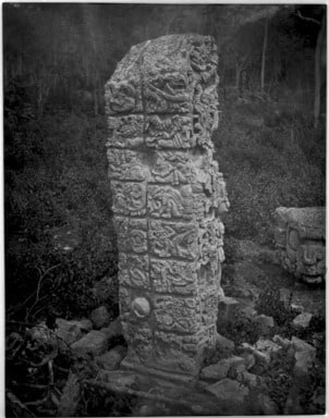 Copan. Stela D