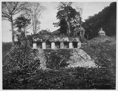 Palenque. The Palace, House D, from the West