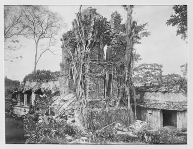 Palenque. The Palace, the Tower from the South-West