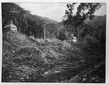 Palenque. View from the East Side of the Palace Mound