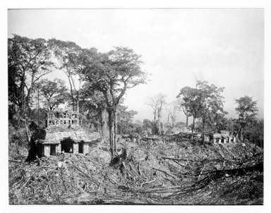 Palenque. View of the Temple of the Sun and the Palace