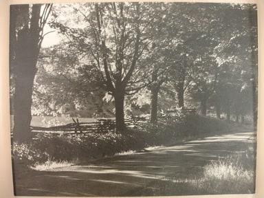 Country Lane and Wooden Fence
