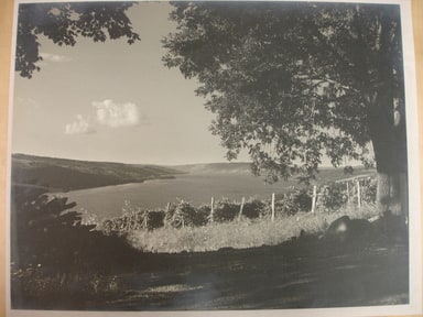 Rural Lake