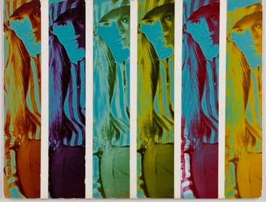 Model Panels