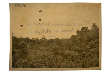 Interventions: Parachutes, from One Day We&rsquo;ll Understand